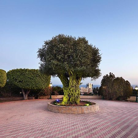Olive Tree Apartments Limassol Eksteriør billede
