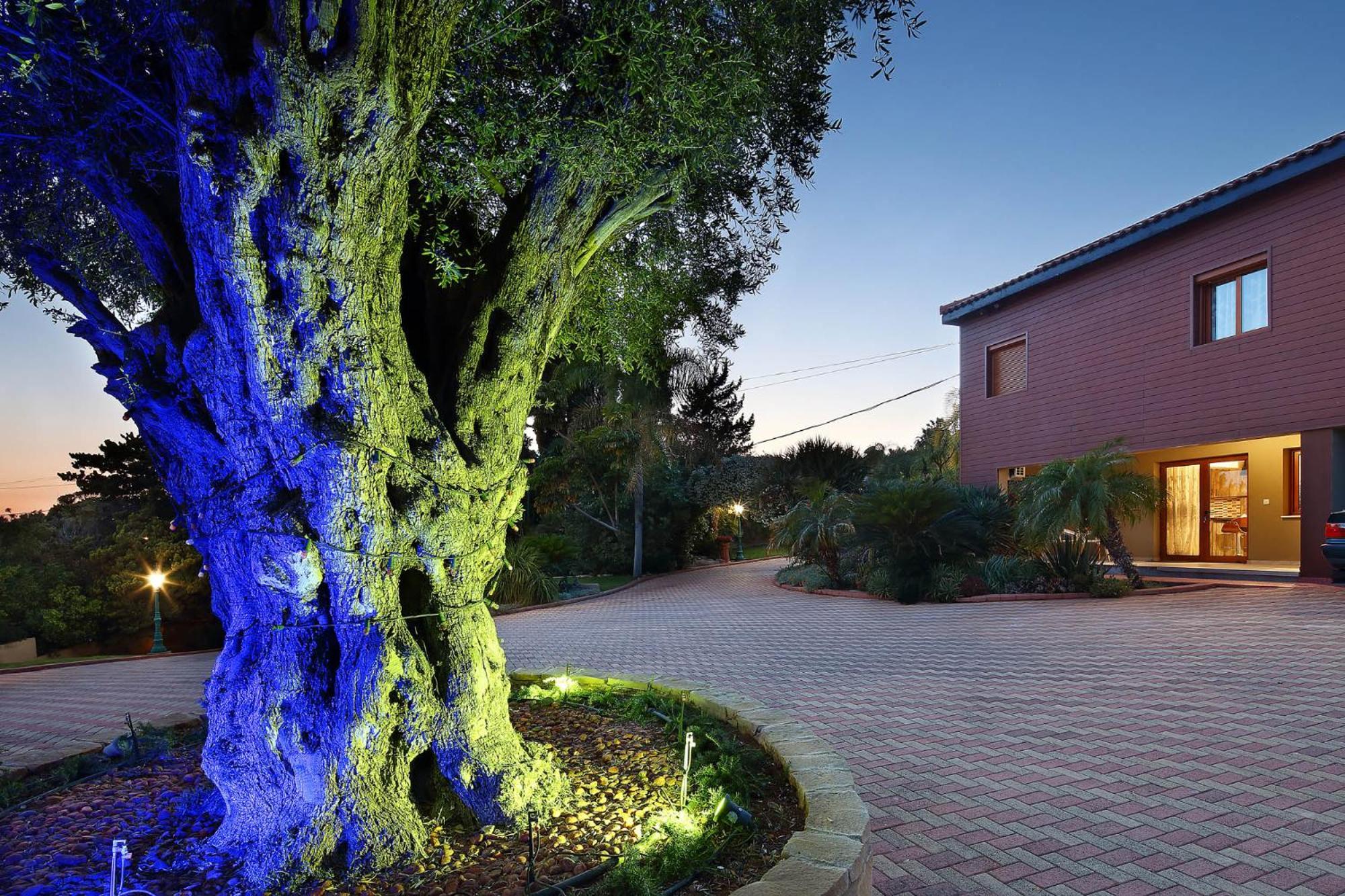 Olive Tree Apartments Limassol Eksteriør billede