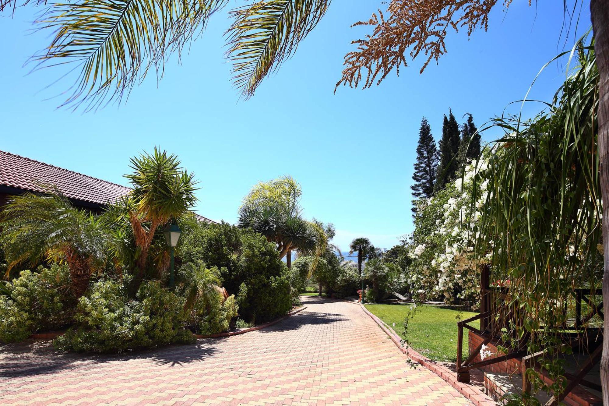 Olive Tree Apartments Limassol Eksteriør billede