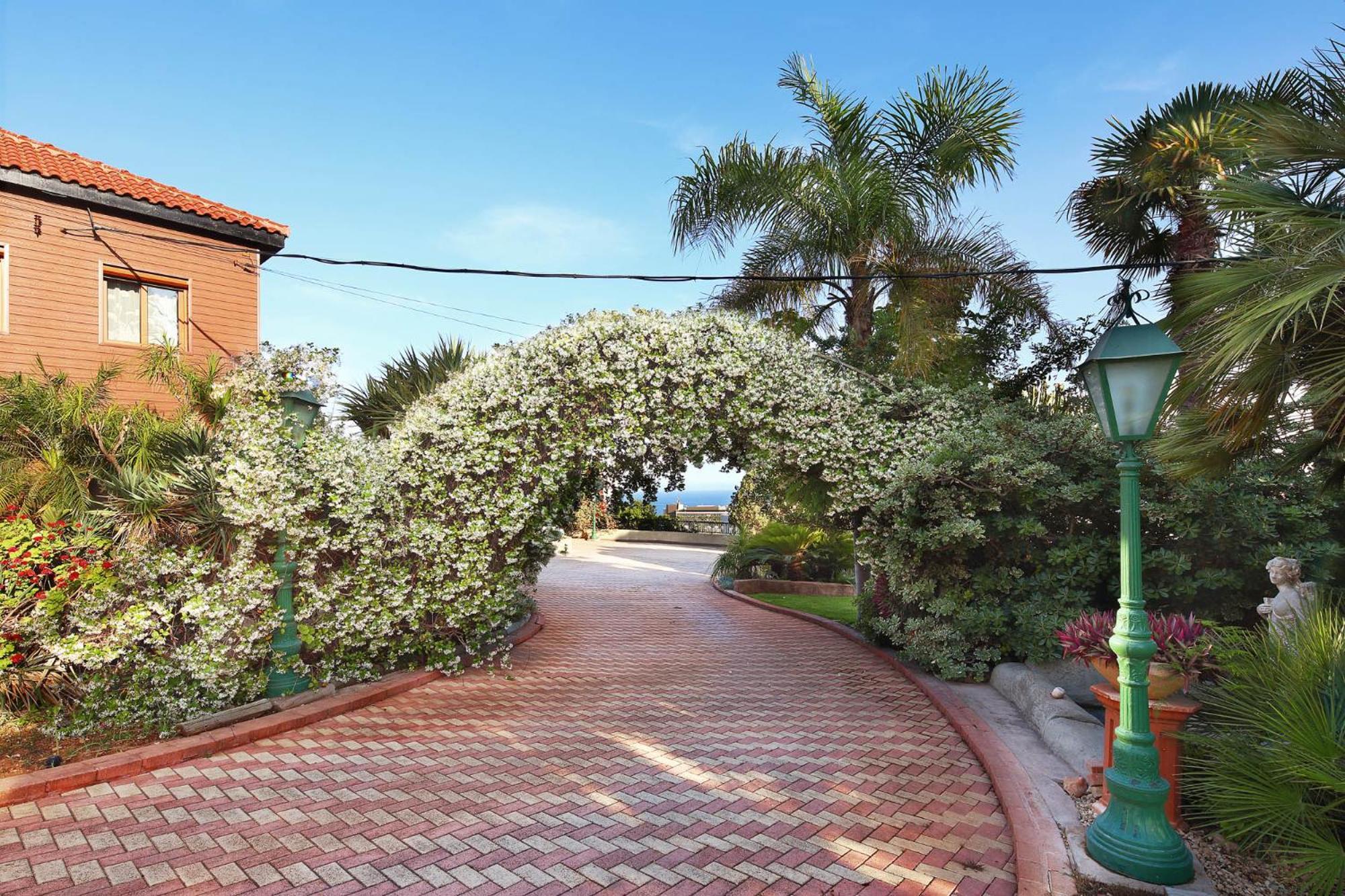 Olive Tree Apartments Limassol Eksteriør billede